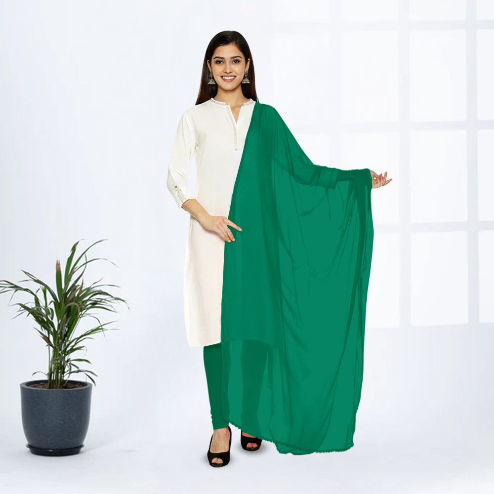 Picture of Women Parrot Green Chiffon Solid Dailywear Dupatta
