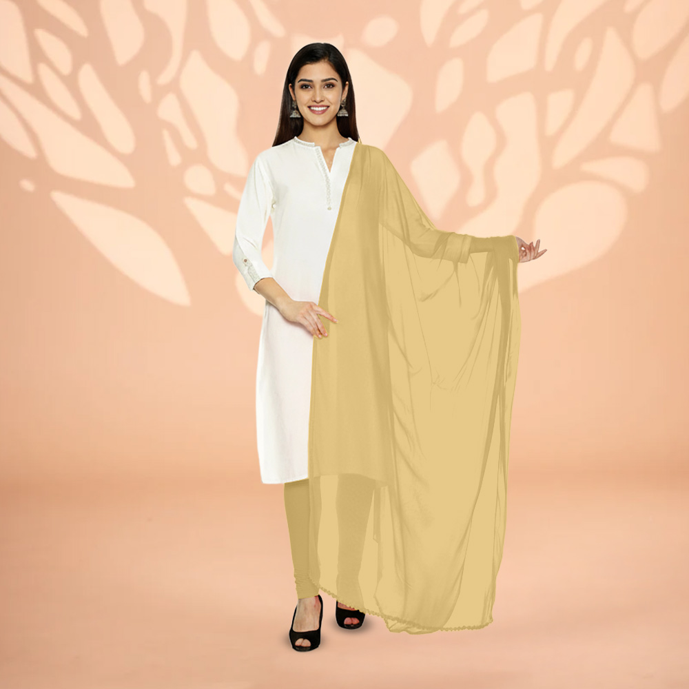 Picture of Women Beige Chiffon Solid Dailywear Dupatta