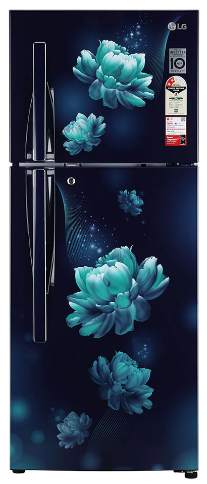 Picture of LG 260 Litres GLS292RBCY Convertible Double Door Refrigerator