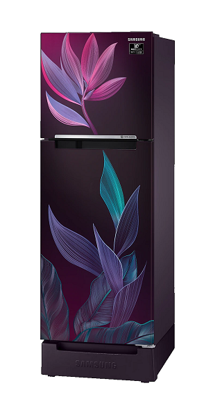 samsung fridge rr21t2g2w9r