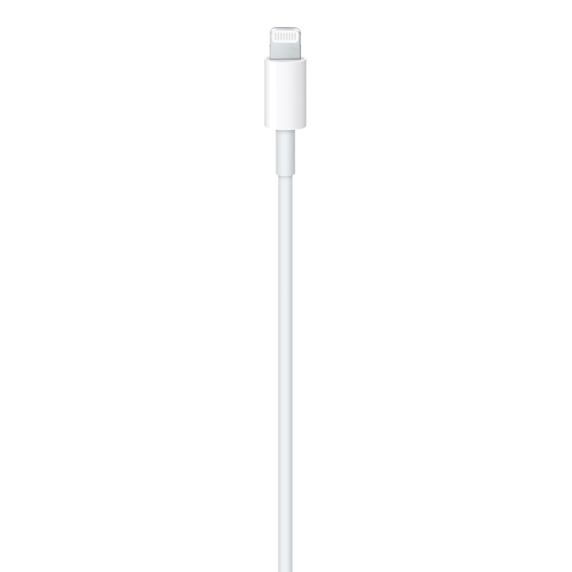 Picture of Apple Earpods With Lightning Connector MMTN2ZMA