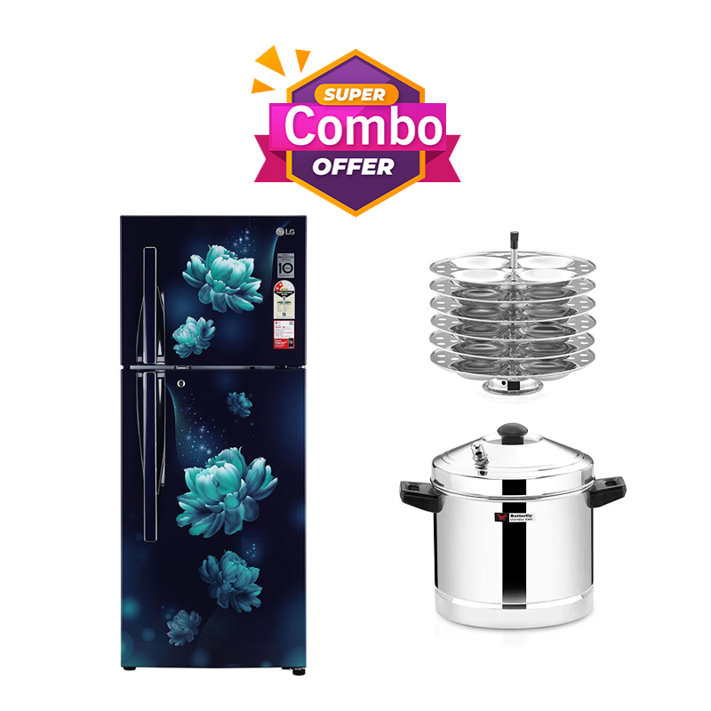 Buy LG 260 Litres GLS292RBCY Convertible Double Door Refrigerator