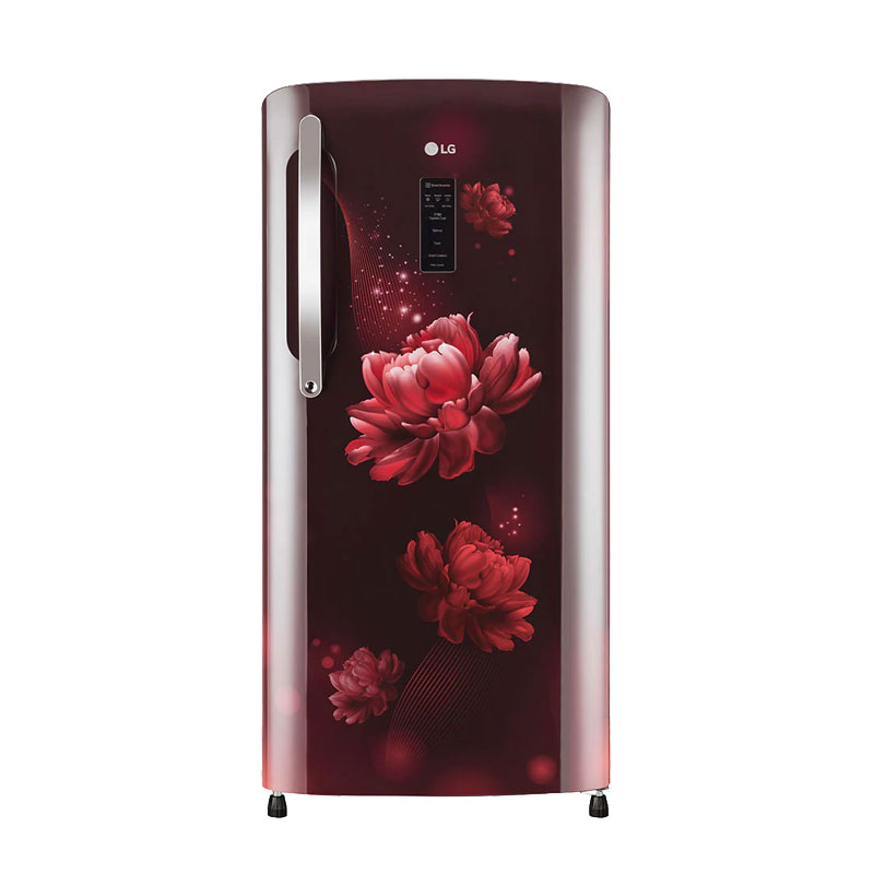 Picture of LG Fridge GLB211CSCY