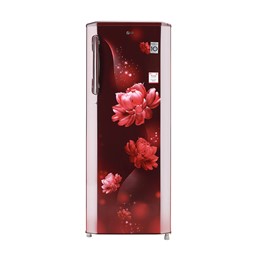 Picture of LG 270L Single Door Refrigerator with Smart Inverter Compressor in Scarlet Charm Color