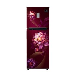 Picture of Samsung 236L Double Door Refrigerator RT28C3732HT