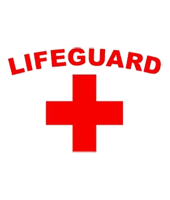 Picture for manufacturer  LifeGuard